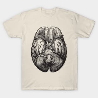 Brain anatomy 2 T-Shirt